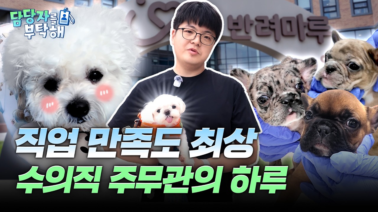 귀여운 동물들과 함께하는 공무원이 있다? [담당자를 부탁해]